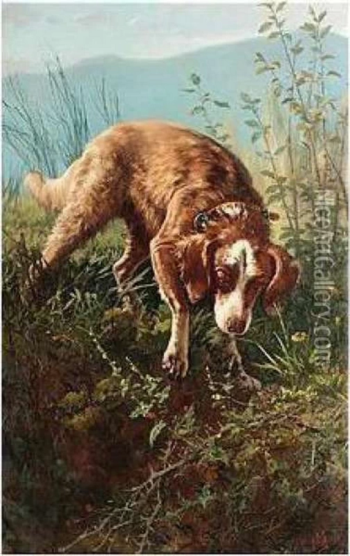 Cane alla ricerca della preda